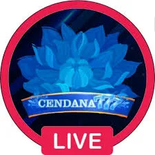 CENDANA777 - Permainan Bingo Seru dan Menghibur